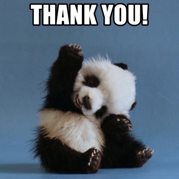 All items beyond this point are SOLD! - Picture 8 of 8